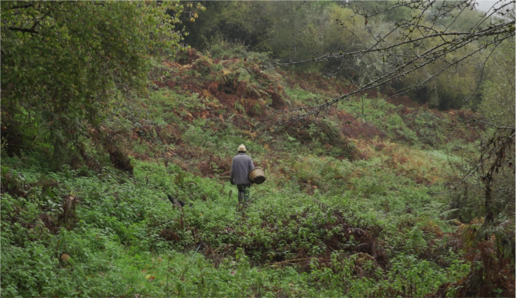Tangente Distribution (@tangentedistrib) on Twitter photo Projection du film "La Terre du Milieu", réalisé par Juliette Guignard et produit par Les Films du Bilboquet, dans le cadre de l'<a href="/euganeafilmfest/">EuganeaFilmFestival</a> qui a lieu du 17 juin au 4 juillet en Italie.
Projection le 23 juin 2021 à 21h30.
Plus d'infos : euganeafilmfestival.it/it/film/docume… Projection du film "La Terre du Milieu", réalisé par Juliette Guignard et produit par Les Films du Bilboquet, dans le cadre de l'<a href="/euganeafilmfest/">EuganeaFilmFestival</a> qui a lieu du 17 juin au 4 juillet en Italie.
Projection le 23 juin 2021 à 21h30.
Plus d'infos : euganeafilmfestival.it/it/film/docume…