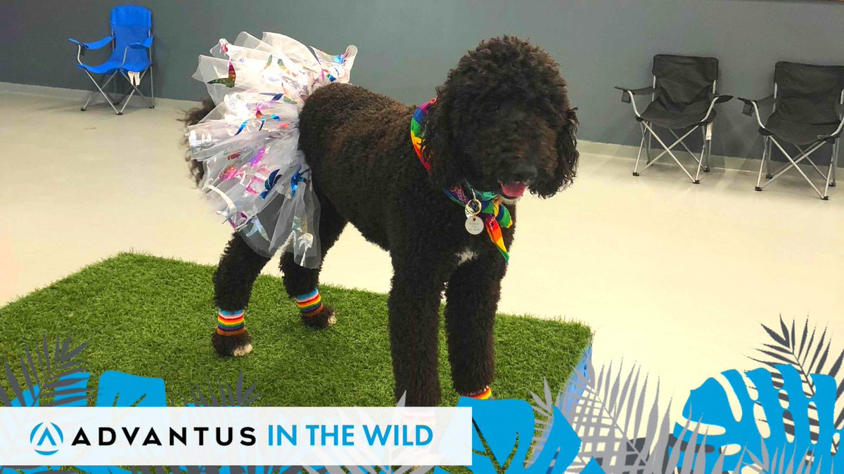 Advantus tweet media