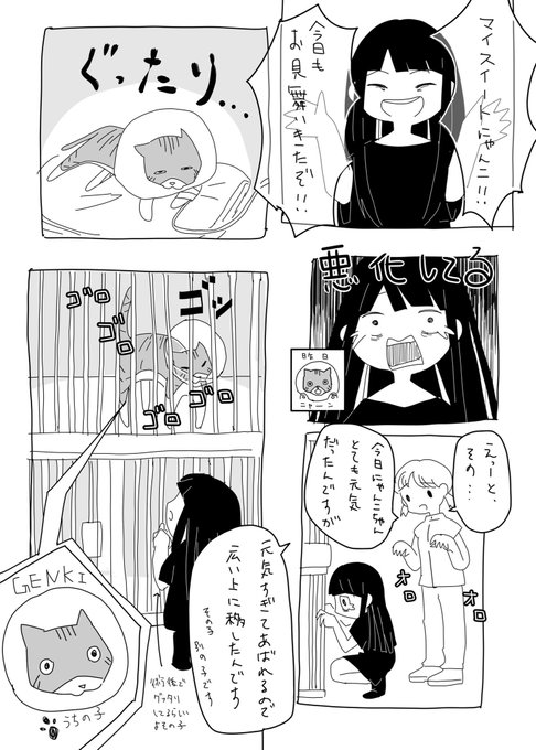 流行りに便乗して日記です
うちのにゃんこちゃんはもうすぐ退院です 