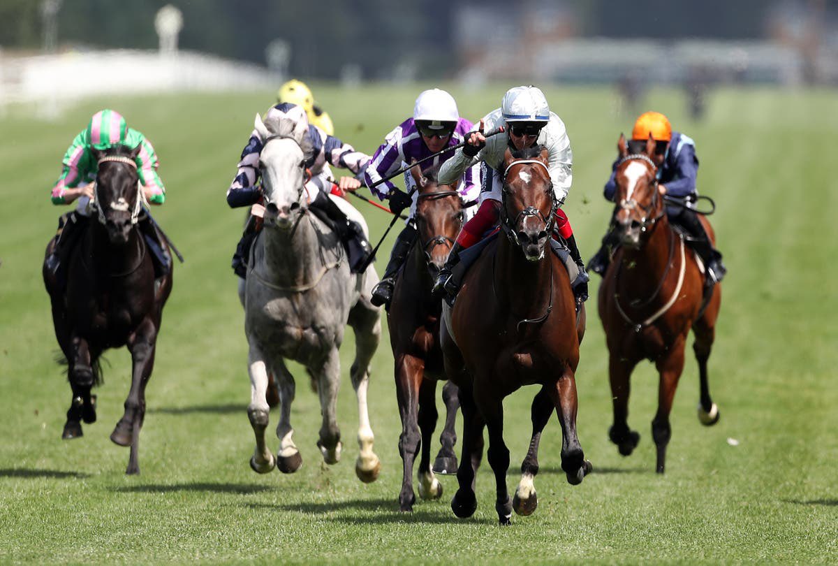 Queen anne stakes betting trends nba Queen anne stakes betting trends nba melbourne victory vs wellington phoenix bettingexpert clash