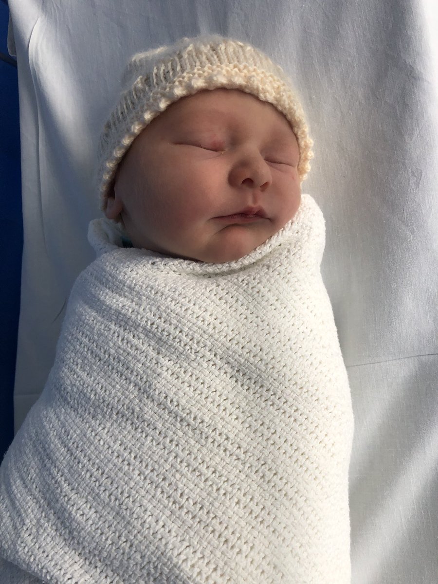 Alli Jackson tweet media