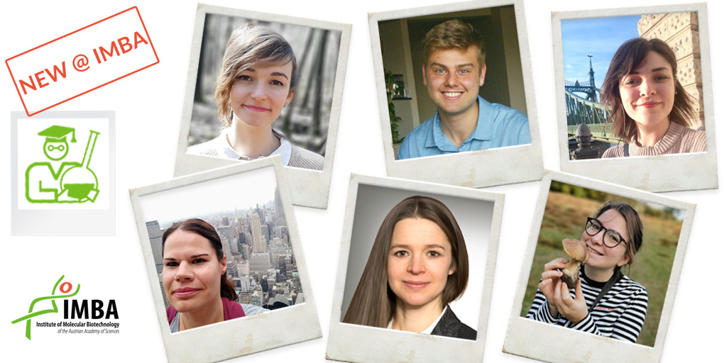 Many new faces and #IMBAssadors in June! Please welcome with us Sophie (Trainee @EllingUlrich), Jamie (#PhD student @Knoblich_lab), Emoke (PhD @gerlich_daniel lab), Andrea (Head of Scientific Office), Olga (#Postdoc, #COVID19 testing) and Martina @martina_des (Postdoc @NRivron).