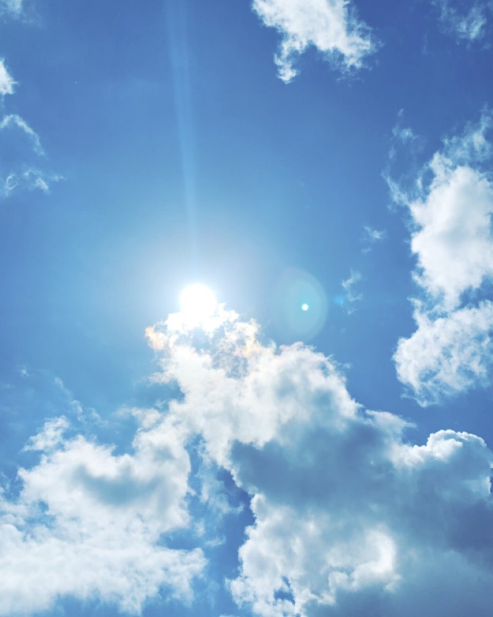 BlackpoolSixth's tweet image. 🌱📸  Nature Photography Day 📸 🌱

Photo by Lower Sixth photography student Emily Mellow.