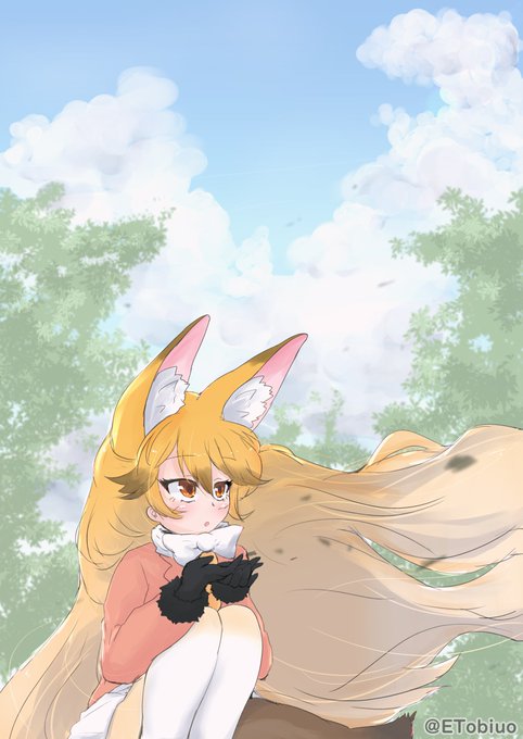 風が気持ちいいね、キタキツネちゃん 