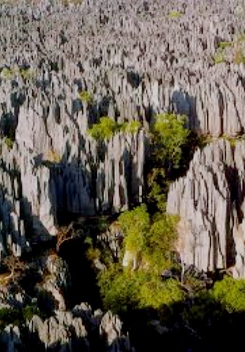 ExpansivePod's tweet image. The Grand Tsingy Madagascar