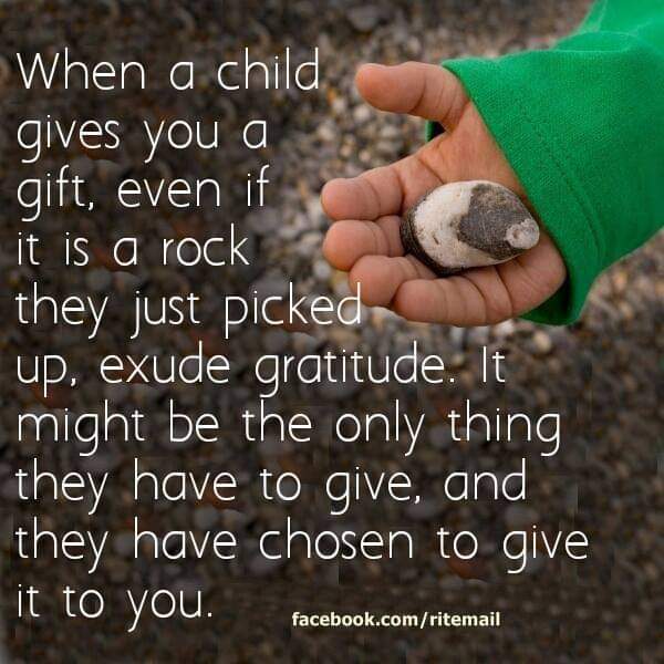 Cindy Anderson tweet media