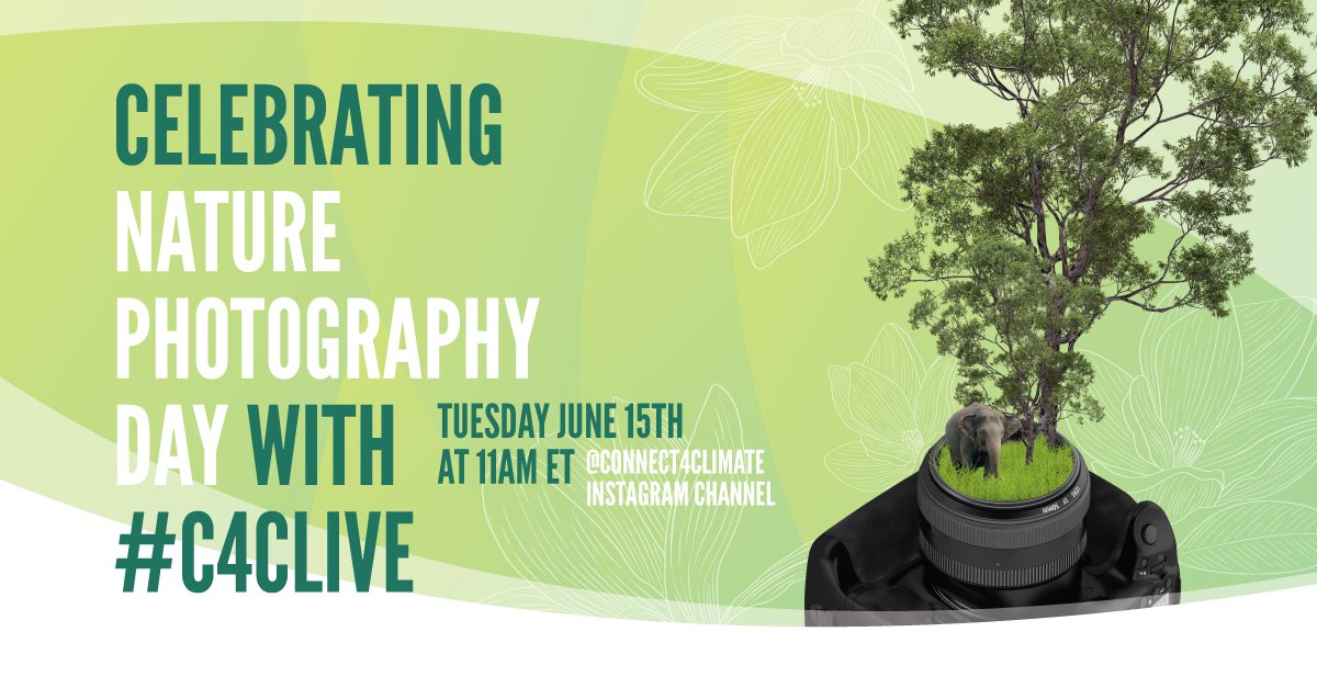 Connect4Climate's tweet photo. We're just 30 minutes away! ⏰Join us on Instagram 📸 for an awesome nature photography-themed #C4CLive featuring the talented @CallieBroaddus, Shannon Wild of @NatGeo, and @PAULJBAYFIELD! #Youth4Climate Live's @uBadrwill be hosting. Don't miss out! 🙌 https://t.co/Wt3mVr5lC3