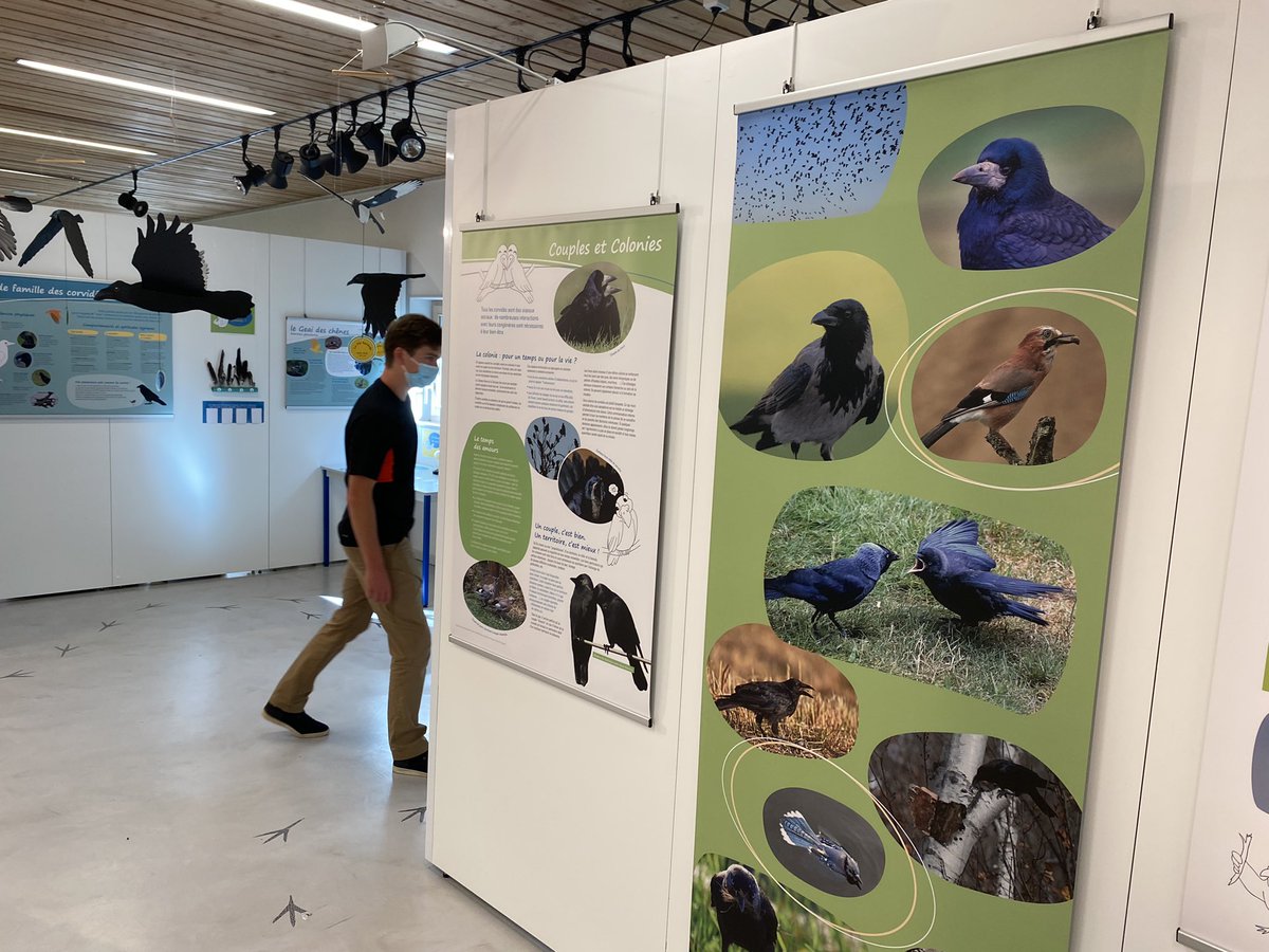 Ce matin, visite de la maison de la nature et de la réserve naturelle nationale de #montenach en #moselle gérée par le <a href="/CENLorraine/">CEN Lorraine</a> . La magie des orchidées et un sentier de visite très pédagogique comme le font les <a href="/RESEAU_CEN/">le réseau nature CEN</a> ! Moments conviviaux aussi ! #nature #grandest