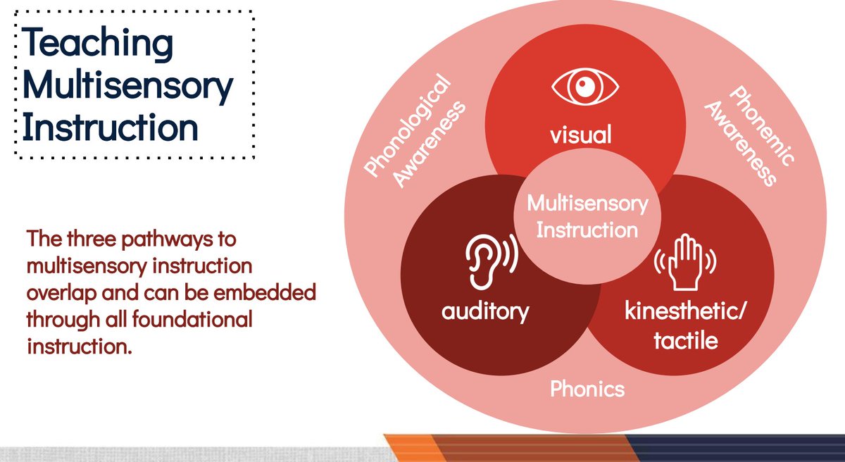 katielschwartz's tweet photo. After a year of teaching 100% virtual, I can't wait to add multisensory instruction into the classroom!   Multisensory instruction is so important for supporting literacy development in students.  @Jbrenes_OCPS @KDeSantis_OCPS @CDLocps
 #ImpactCDL https://t.co/LsTyDtZaw4