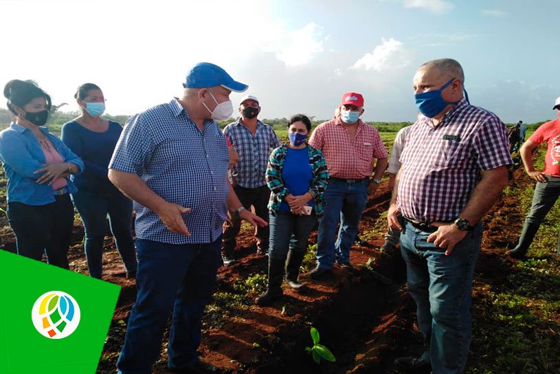 TelePinar's tweet photo. #Viceprimer ministro de #Cuba recorre áreas agrícolas de #PinardelRío.
👉🔗https://t.co/HnZkX8LBGD https://t.co/bt9eKQmr81