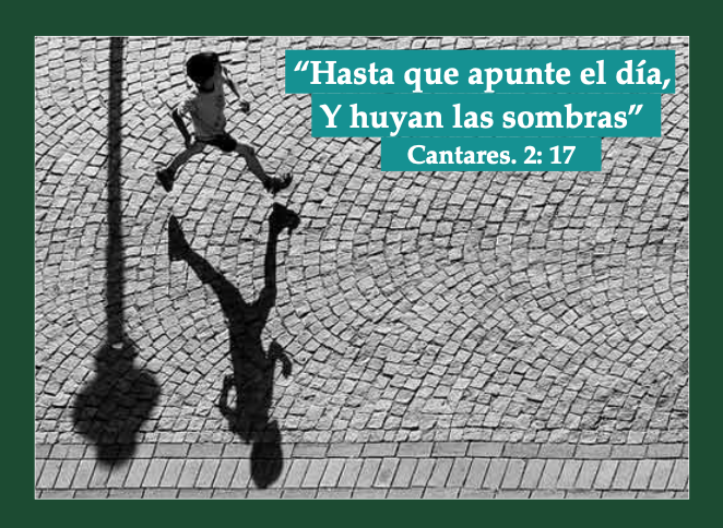 moisesevangelic's tweet photo. No tardará mucho en que las sombras dejen de ser y apunte el día en que el Sol de Justicia se haga manifiesto con todo su resplandor. Mientras tanto, seguimos caminando y nos acompañan las sombras...pero pronto se disiparán y estaremos en Gloria. "Le veremos tal como él es" https://t.co/lMAwWQNxe0