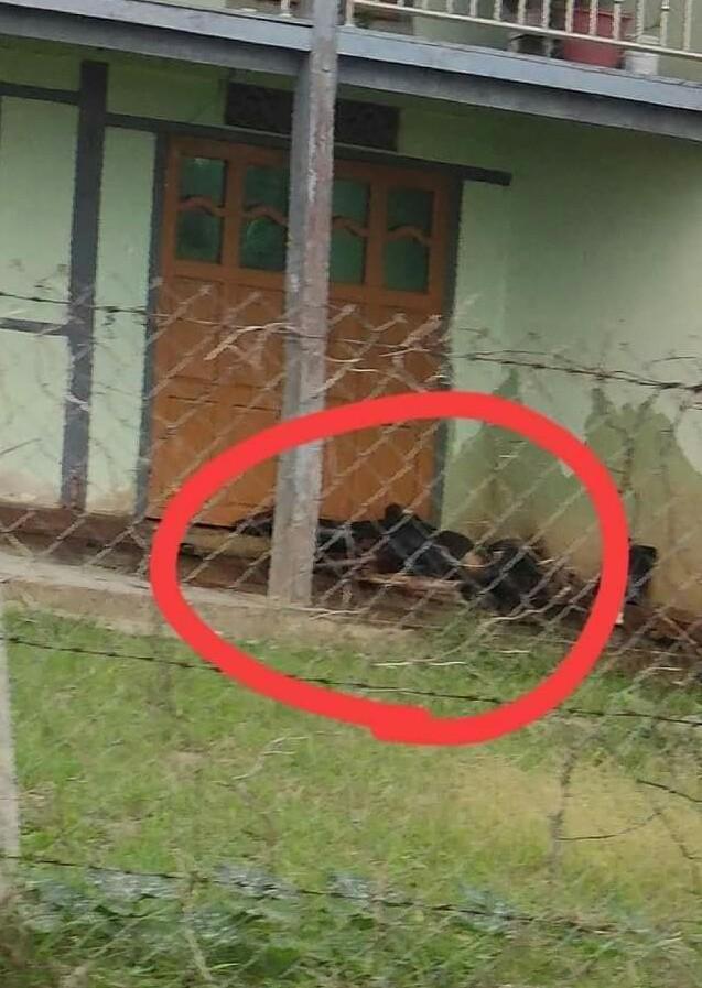 haymarn_tun's tweet photo. These pictures are what is currently happening in Kayah State. The town that used to be named the cleanest city is now smelling of stench. 
More than 50 unarmed civilians have been killed and thousands displaced as the result of military's atrocities. 
#WhatsHappeninglnMyanmar https://t.co/3SWRkzwYya