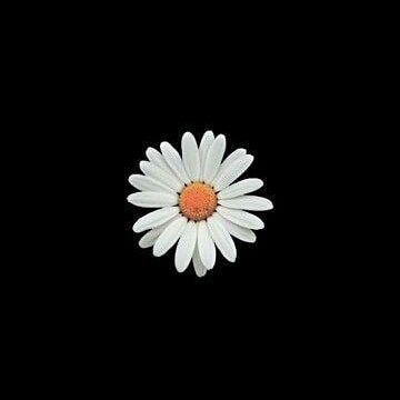#NuevaFotoDePerfil