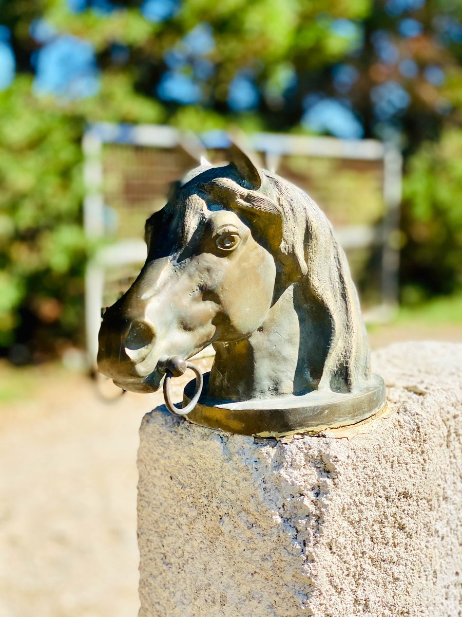 JulienMiro's tweet photo. 🐴Merci à la famille Roques de nous avoir ouvert son Haras d’Aiguevives à #Mauguio &amp; de porter haut les couleurs de la région à l’échelle nationale &amp; internationale. Bravo à vous pour votre passion &amp; de perpétuer nos traditions camarguaises avec l’amour des animaux ! @ElanOccitan https://t.co/CQ2bd3ktFo