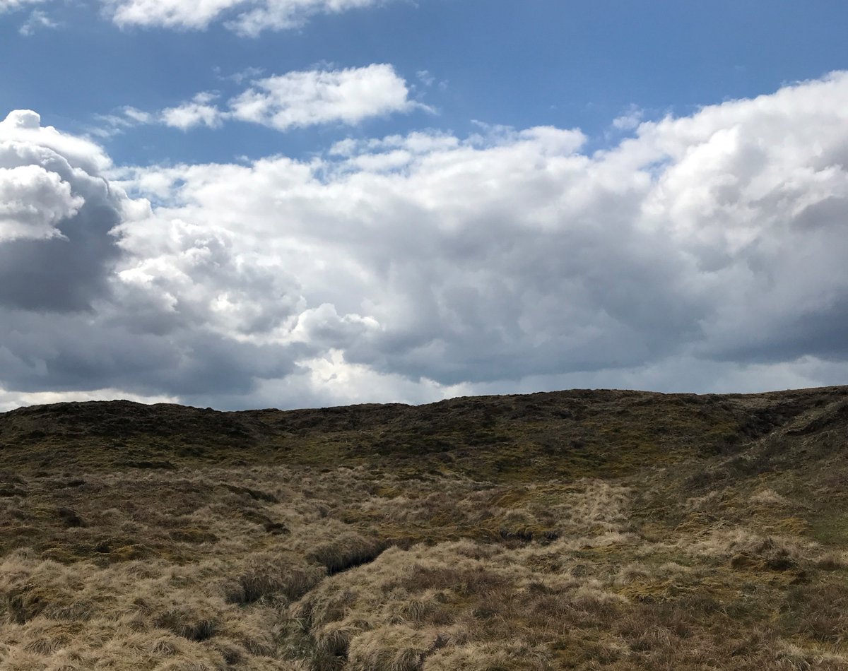 Peatlands are an absolute powerhouse when it comes to storing carbon and so we need some strong policies to protect these precious habitats in England. The English Peat Action Plan has been published, and the CLA has looked into what it might mean here: cla.org.uk/news/english-p…