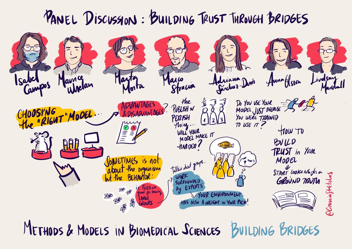 CireniaSketches's tweet photo. Amazing discussion in the final panel of #MMBridges !
Thanks everyone for making me part of this great meeting building bridges!
@EU_ScienceHub @Neuro_CF @ChampalimaudF @QuantOCancer @FRE_SCI #congento https://t.co/Zdq4lHGiZa