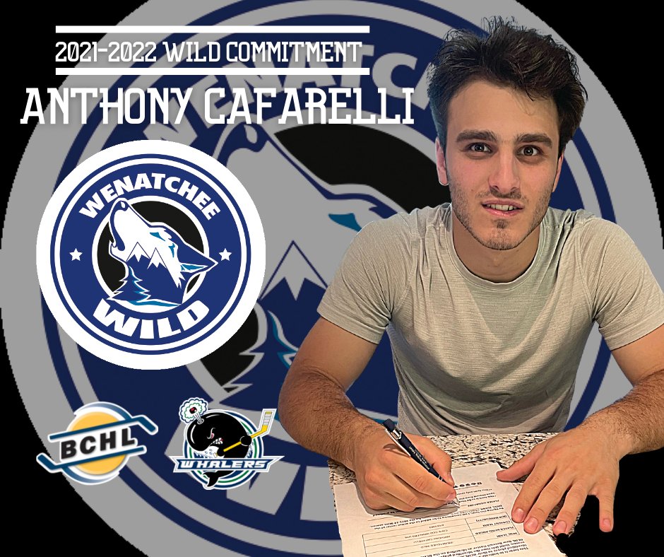 Anthony Cafarelli joins the Wild for the 2021-2022 season. #WelcomeToWenatchee #Wild4Wenatchee <a href="/capecodwhalers/">Cape Cod Whalers</a> <a href="/BCHockeyLeague/">BCHL</a> 

wenatcheewildhockey.com/news/anthony-c…