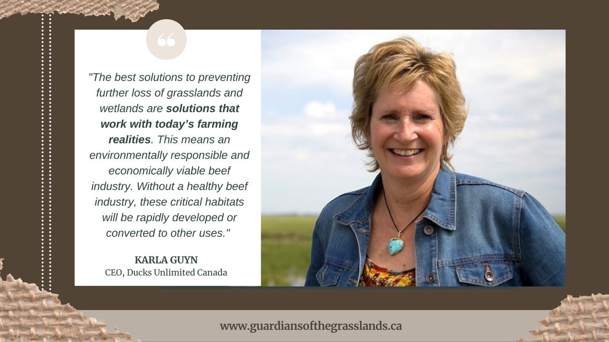 Karla Guyn, CEO of Ducks Unlimited Canada, shares her thoughts about solutions to preventing further loss of grassland and wetland habitat. 

Learn more about how #ConservationNeedsCattle at guardiansofthegrasslands.ca