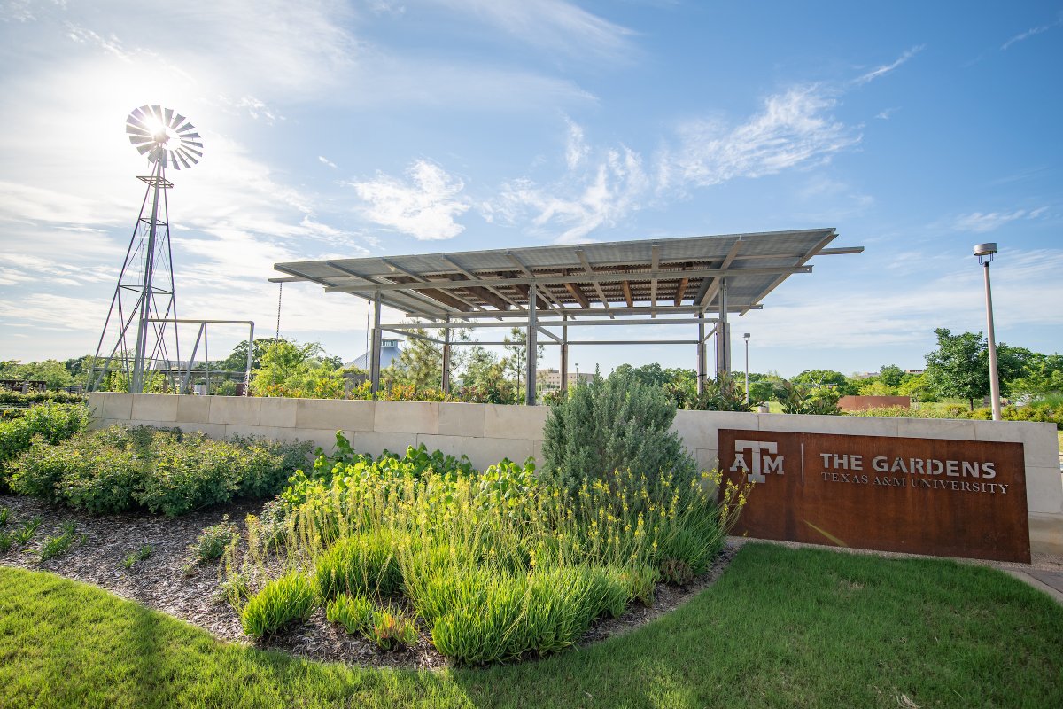 Texas A&M University tweet media