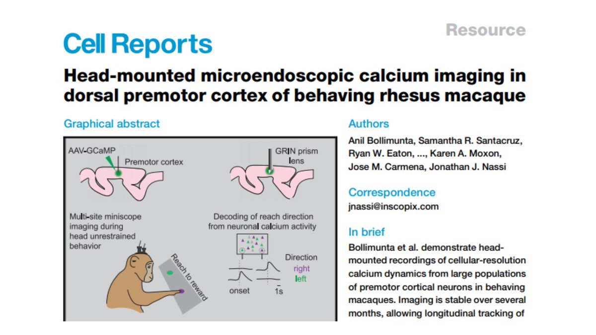 Congrats to the @Inscopix team & our collaborators for their paper in @CellReports today— A big milestone for the company & the #neurotech industry! These first-ever nVista recordings in behaving macaques pave the way for optical BCI: cell.com/cell-reports/f…