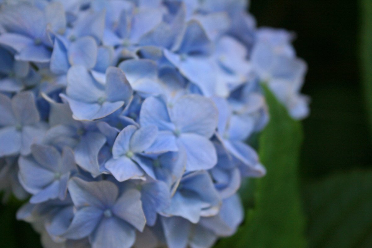 SMCHD Celebrates Courtyard Garden Renovation - With thanks to the Society Hill Garden Club of Breton Bay, the St. Mary's County Garden Club, and Chaney Enterprises: smchd.org/2021/06/local-…
<a href="/StMarysCoGov/">St. Mary's County Government</a> <a href="/MedStarStMarys/">MedStar St. Mary's Hospital</a> <a href="/firstsheriff/">St. Mary's County Sheriff's Office</a> @stmemerg <a href="/ChaneyEnt/">Chaney Enterprises</a>