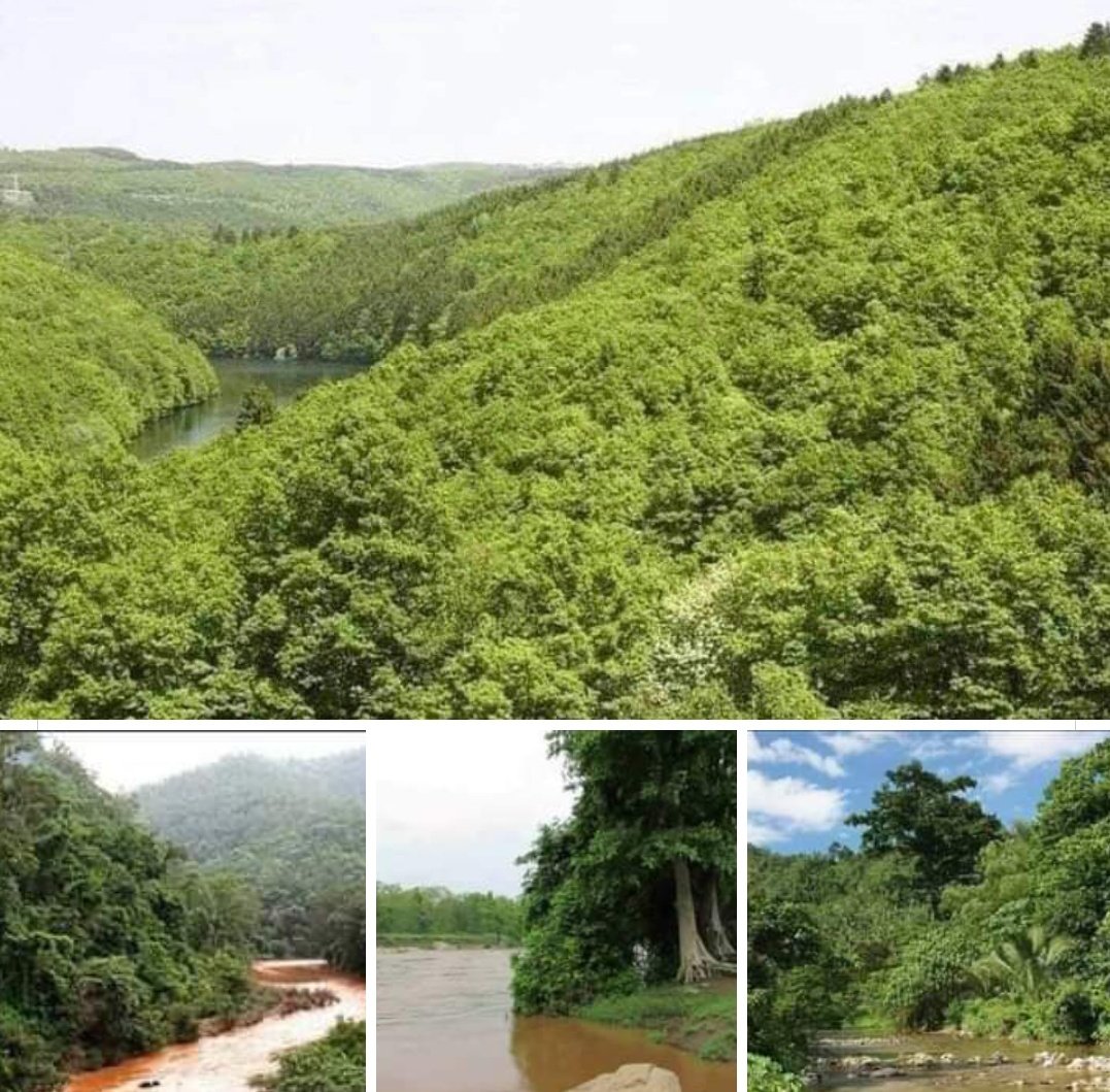 This is the beautiful place that has to be taken out of the barren diamond.  In which about 2 lakh 15 thousand trees are to be cut.  It is unfortunate that the forest will be cut down, along with it thousands of animals living in the forest. #SaveBuxwahaForest