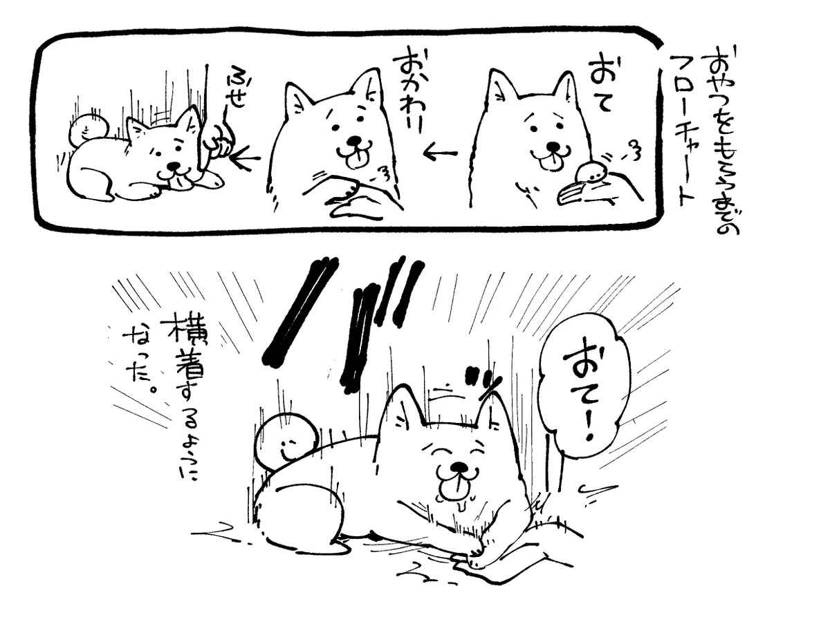 おやつをもらうまでの動作を…横着をしてまとめていっぺんにこなすわんちゃん！