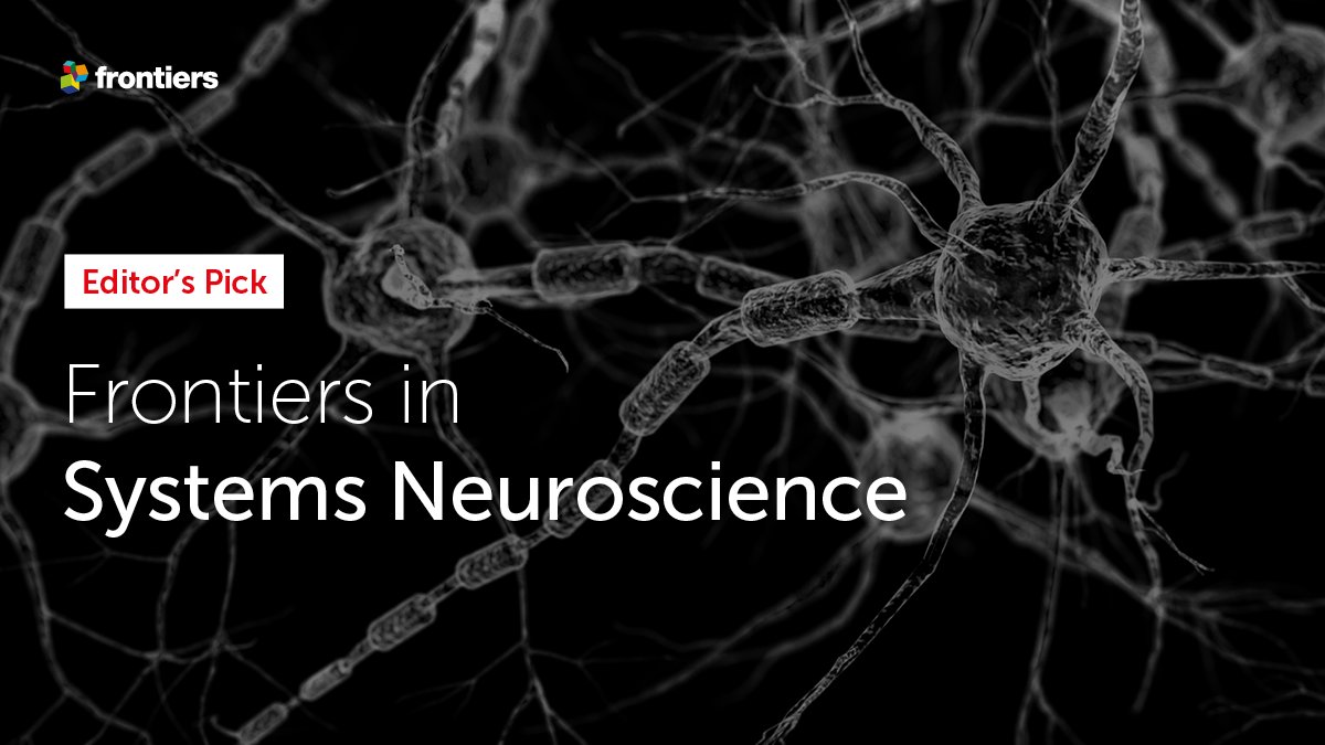 FrontNeurosci's tweet image. Interested in #SystemsNeuroscience?

We proudly present our #EditorsPick 2021 collection highlighting articles handpicked by our Chief Editors Dr. @OliviaGosseries and Prof. Mavi Sánchez-Vives.

Read them here: fro.ntiers.in/fnsys