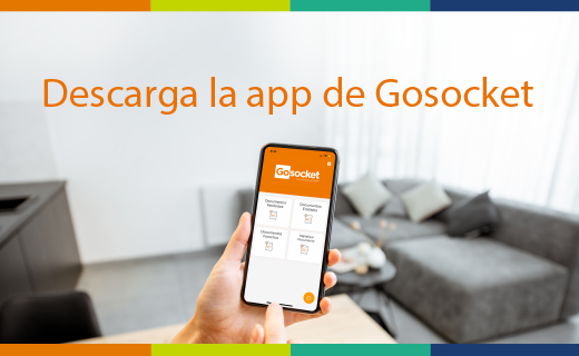 Gosocket tweet media