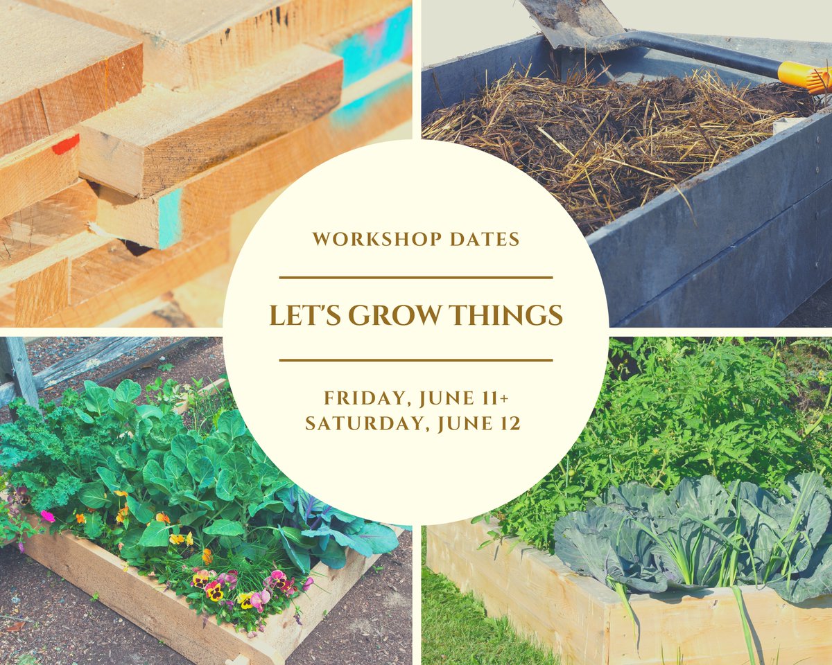 ojibeehoney's tweet photo. Harvest Kenora is helping us grow things! Flowers, herbs, and vegetables.  From 12noon to 2pm today, everyone who built a raised garden bed at the ChiKeyWis Arena last weekend can come by and pick up a tomato plant and seeds to sow direct in the soil! #perfectforpollinators https://t.co/ULN46j8XRt