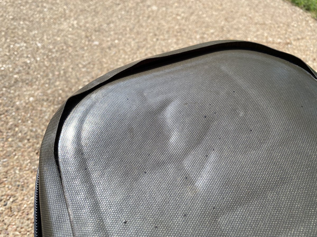 Dora Torres-Morón tweet media