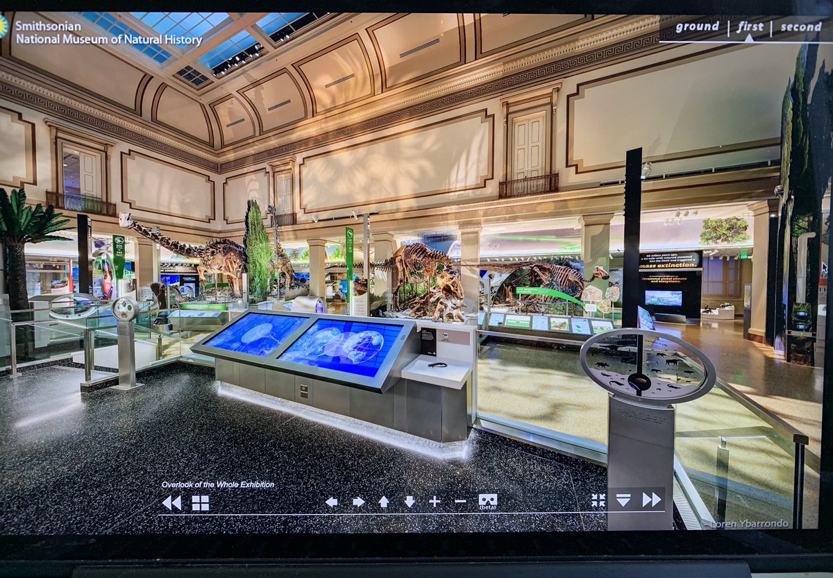 lisowski_k's tweet photo. We had a blast visiting the @smithsonian this morning and seeing the giant dinosaur fossils and other creatures! Many students revisited the museum on their own after our class trip. We love virtual tours! #hcdsbk #virtualHCDSB #onlinelearning #kindergarten @Clauberquin https://t.co/kzMbJDnLFy