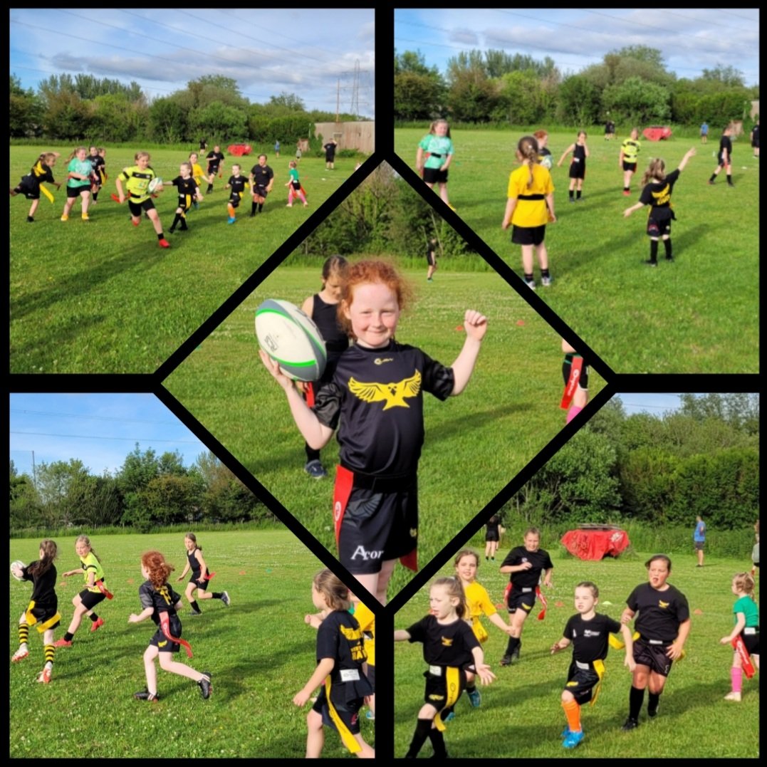 WestSwanseahawk's tweet photo. WS Hawks U9s, U11s, U13s 

Tag, skills &amp; contact carousels, team runs, 
&amp; a game of touch rugby. 

Perfect end to a Monday evening training session
🏉🏉🌞🌞
#becomeahawk 
#HawksLife 
@JoeDaviesWRU @CleoHardyWRU @Dave9969
@swanseaplumber @happyeggshaped @CommunityOsprey https://t.co/LNn9EsUDCz