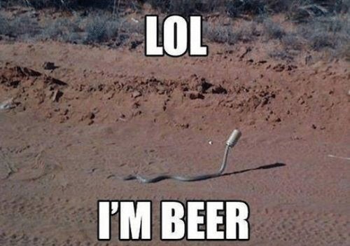 #NationalBeerDay