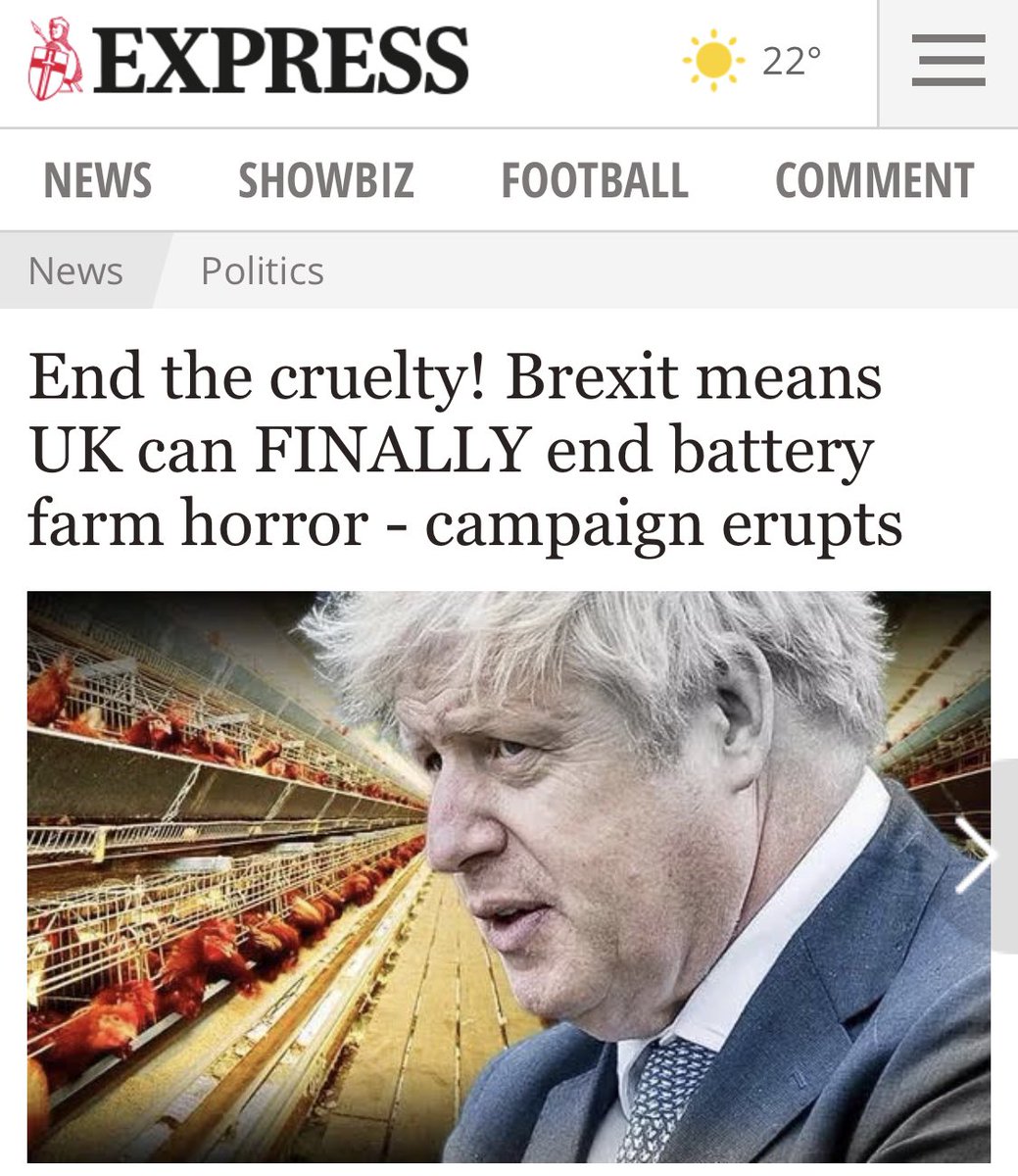 MarinaPurkiss's tweet image. How it started Vs How it ended