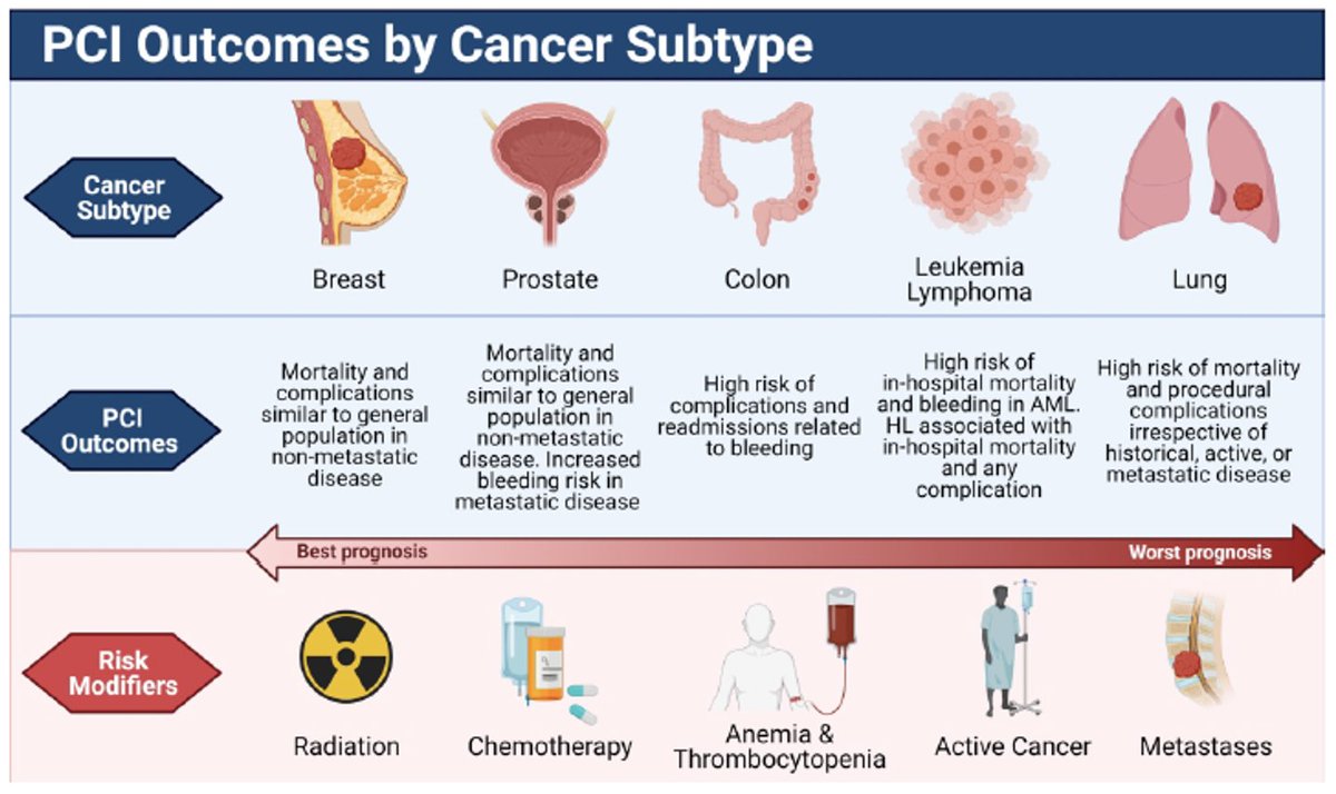 mmamas1973's tweet photo. Congratulations to @djleedy⁩ and @Richardkcheng2
on leading our review around revascularisation in #Cardionc  #cancer patients https://t.co/TYTrtPSyIB thank you for invitingh me to contribute @ShrillaB @SukhNijjer @ncurzen @ShaziaTHussain1 @lamelaspablo @adityadoc1 @Hragy https://t.co/48bS0FI8Ey