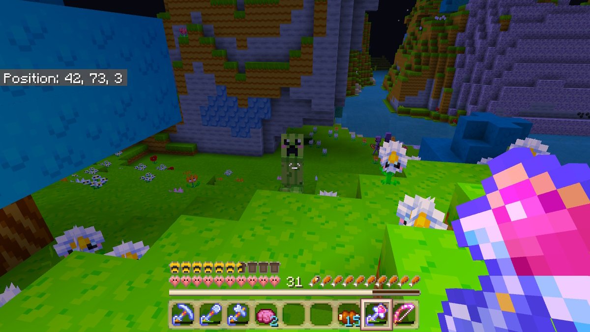 SunieSweet's tweet photo. This texture pack is so cute! ToT I love it!!!
 #Minecraft #NintendoSwitch https://t.co/mJdpamsbuz