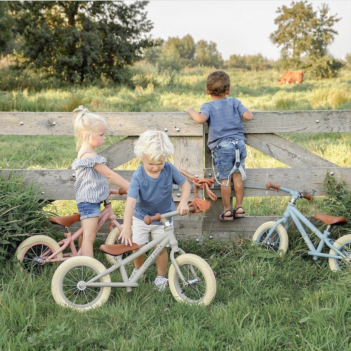 Kids balance bikes #balancebike #littledutch #littledutchuk #kidsbalancebike #stourbridge #toddlerbike