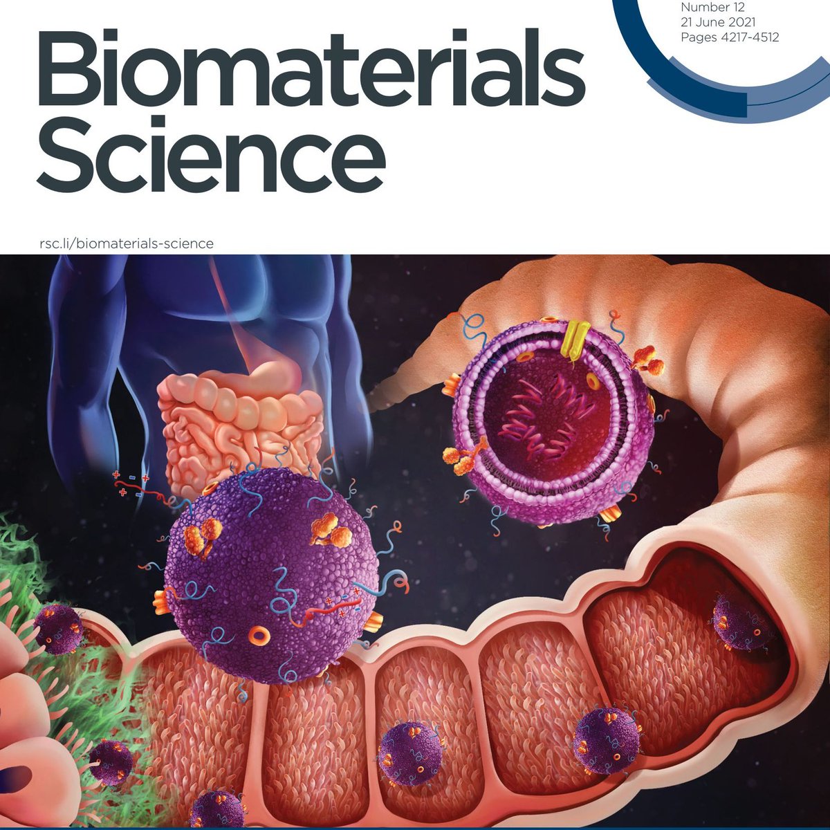 Excited to share our work on oral delivery of siRNA using milk-derived exosomes in collaboration with @sanofi featured on the inside front cover of @BioMaterSci 

@mwarren333 @ChenzhenZhang @vedadghavami 

pubs.rsc.org/en/content/art…