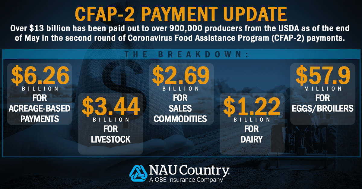 naucountry's tweet photo. CFAP-2 update - As of June 15, the USDA paid out over $13.71 billion to over 911,000 producers. Get the latest data from the https://t.co/TIPxzRyFbd CFAP site https://t.co/wVsufTLJyO. #NAUCountry #USDA #CFAP2 #CFAP #Coronavirus #Farmers #Agriculture #QBENA https://t.co/8ws0aTtitG