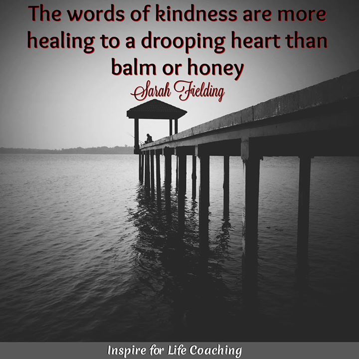 Spiritual Evolution (@spirit_evolut) on Twitter photo 