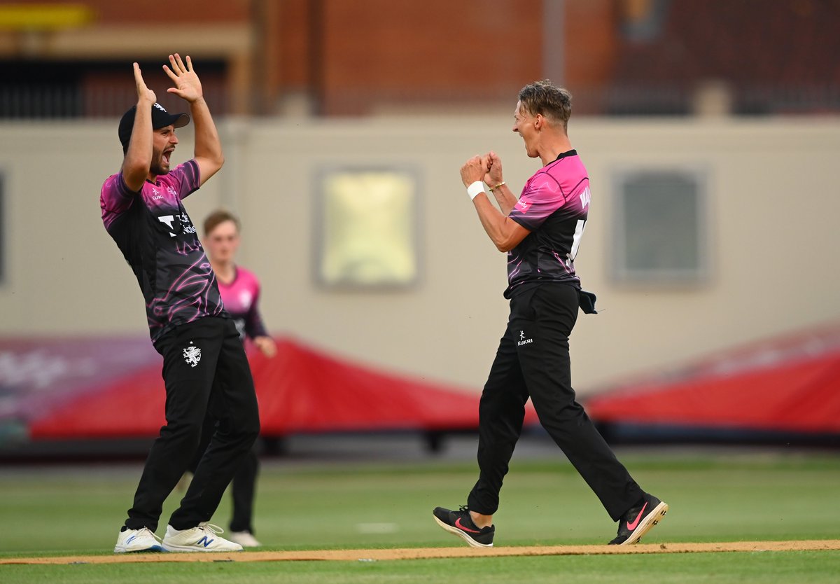 SomersetCCC's tweet photo. Max Waller has 132 T20 wickets for Somerset at an economy rate of 7.36..... 

....All while playing his home games at the highest scoring T20 ground in world cricket 👏👏👏

#WeAreSomerset 
#SOMvKEN https://t.co/fbBo6gdODg