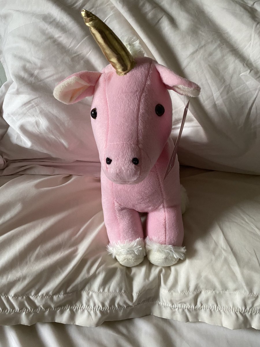 TheLighthouseCe's tweet photo. Today’s reason to smile…….being brought a beautiful pink unicorn doorstop! #ProjectPinkPalace #PinkUnicorn #Magic #ILoveMyFriends #Birthday xxx https://t.co/wBIYhSEfDh