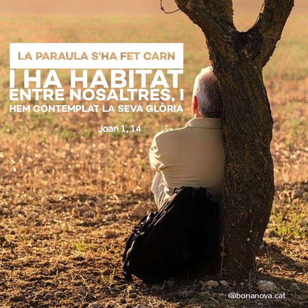 BonanovaC's tweet photo. «La Paraula s’ha fet carn i ha habitat entre nosaltres, i hem contemplat la seva glòria, glòria que té com a Fill únic del Pare, ple de gràcia i de veritat...
Joan 1:14-18 https://t.co/tEmOuPyBrS