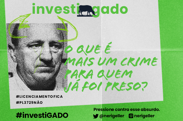 Investi_gado (@Investi_gado) / Posts / X
