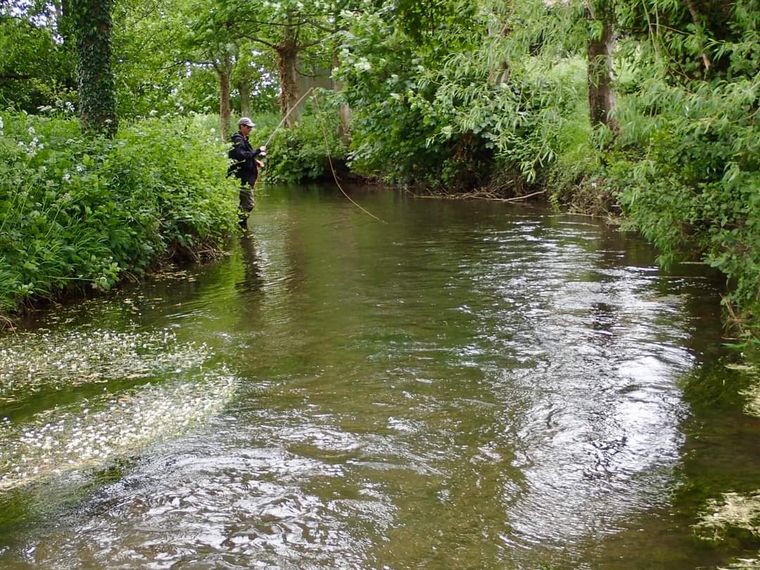 Pickering Fishery Association tweet media