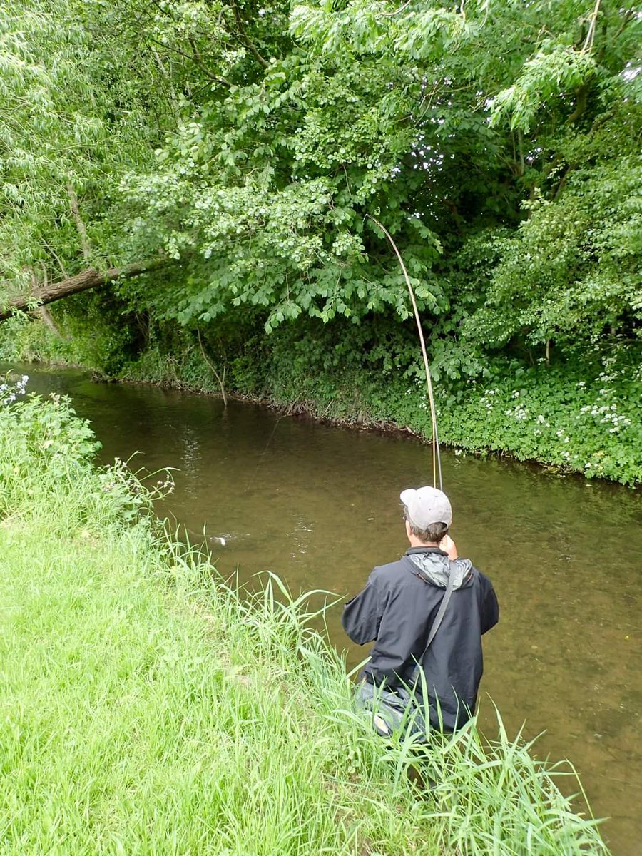 Pickering Fishery Association tweet media