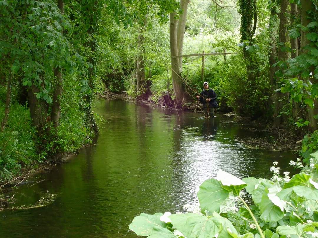 Pickering Fishery Association (@pickeringfish) on Twitter photo Tough guiding on a <a href="/WildTroutTrust/">The Wild Trout Trust</a> Auction Day at Pickering Beck yesterday; low water & the chilly NW breeze killed off the expected Mayfly hatch with just a handful of duns & spinners late in the afternoon. Despite less than perfect conditions Richard managed to land 15 trout! Tough guiding on a <a href="/WildTroutTrust/">The Wild Trout Trust</a> Auction Day at Pickering Beck yesterday; low water & the chilly NW breeze killed off the expected Mayfly hatch with just a handful of duns & spinners late in the afternoon. Despite less than perfect conditions Richard managed to land 15 trout!