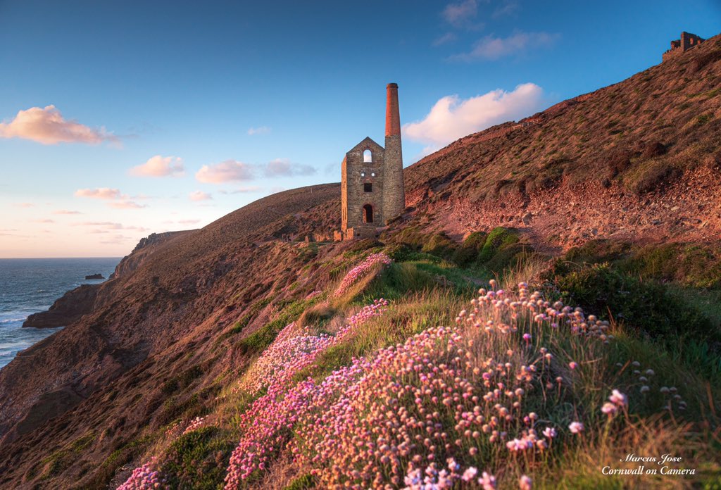 Sea Pinks at Wheal Coates near St Agnes.
#Cornwall #Kernow #seapinks #plants #Flowers #coast #colour #spring #sunset #evening #light #cornishmining #abandoned #NationalTrust #poldark #art #landscapephotography #photography #photo #canon #nisifilters #lovewhereyoulive