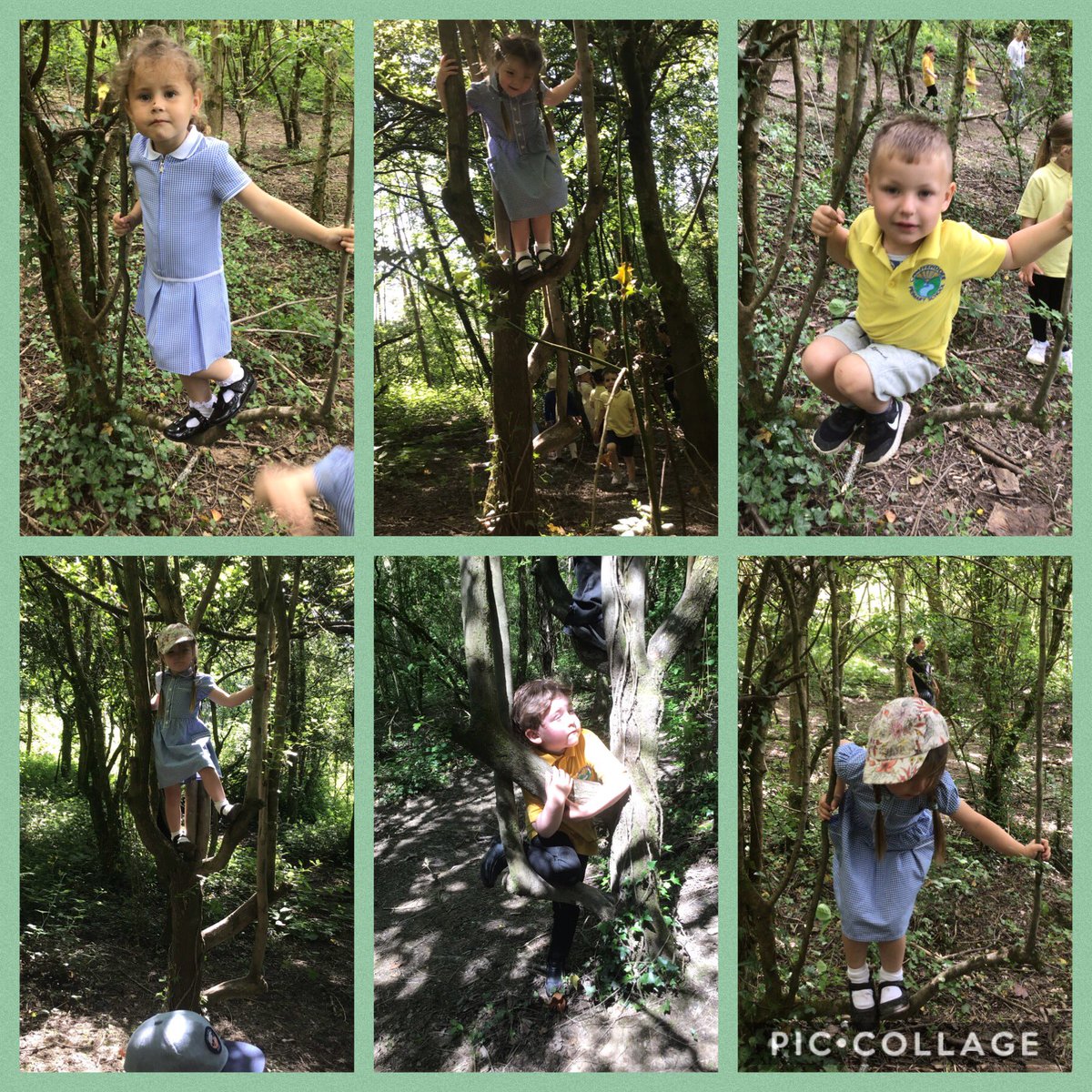 We had a lovely climbing day in the secret forest, making the most of the shade. We saw some fabulous confident and competent climbing. Part 1/2 #healthyconfidentindividuals #ambitiouscapablelearners <a href="/cwmffrwdoer/">Cwmffrwdoer Primary</a> <a href="/SnookMrs/">Mrs Snook</a> <a href="/KT_Matthews/">Katy Matthews</a>